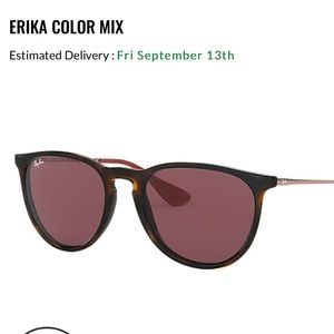 Authentic Brand New Ray-Ban Erikas